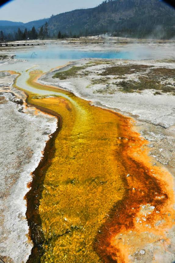 As cores sempre vivas da Grand Prismatic Pool, no Yellowstone National Park, em Wyoming, nos Estados Unidos